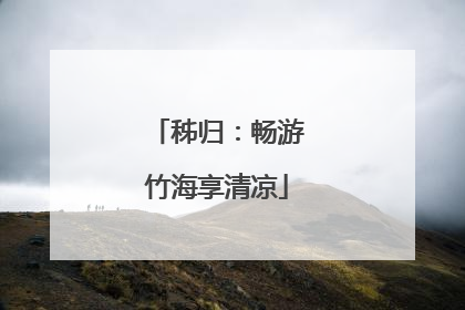 秭归：畅游竹海享清凉