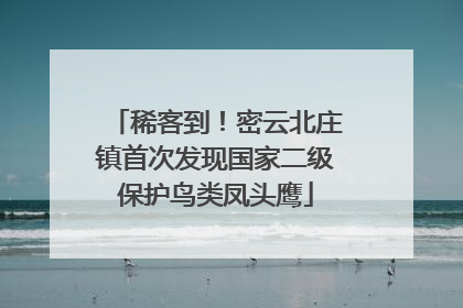 稀客到！密云北庄镇首次发现国家二级保护鸟类凤头鹰
