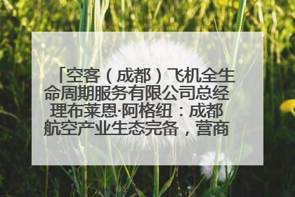 空客（成都）飞机全生命周期服务有限公司总经理布莱恩·阿格纽：成都航空产业生态完备，营商环境优势显著