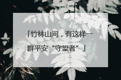 竹林山间，有这样一群平安“守望者”