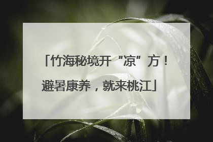 竹海秘境开“凉”方！避暑康养，就来桃江