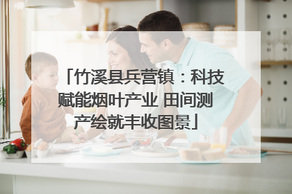 竹溪县兵营镇：科技赋能烟叶产业 田间测产绘就丰收图景