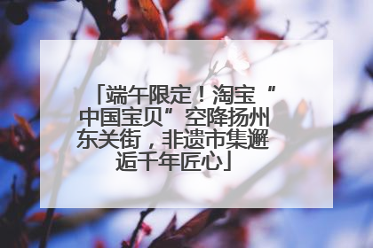 端午限定！淘宝“中国宝贝”空降扬州东关街，非遗市集邂逅千年匠心