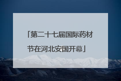 第二十七届国际药材节在河北安国开幕