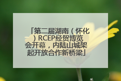 第二届湖南（怀化）RCEP经贸博览会开幕，内陆山城架起开放合作新桥梁
