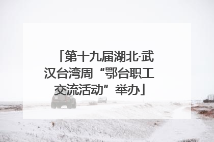 第十九届湖北·武汉台湾周“鄂台职工交流活动”举办