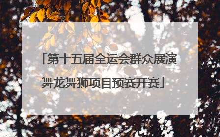 第十五届全运会群众展演舞龙舞狮项目预赛开赛