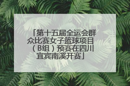 第十五届全运会群众比赛女子篮球项目（B组）预赛在四川宜宾南溪开赛