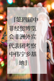 第四届中非经贸博览会非洲外宾代表团考察中伟宁乡基地