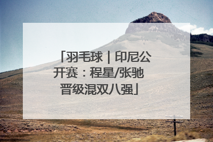 羽毛球｜印尼公开赛：程星/张驰晋级混双八强