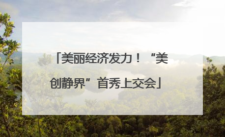 美丽经济发力！“美创静界”首秀上交会