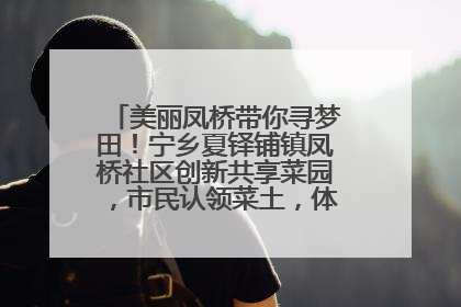 美丽凤桥带你寻梦田！宁乡夏铎铺镇凤桥社区创新共享菜园，市民认领菜土，体验耕种收获乐趣