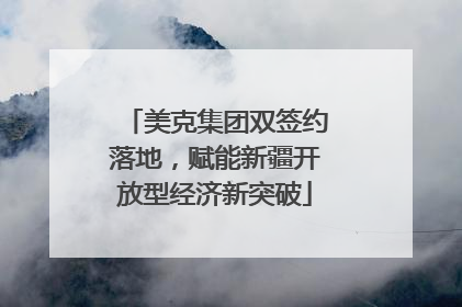 美克集团双签约落地，赋能新疆开放型经济新突破