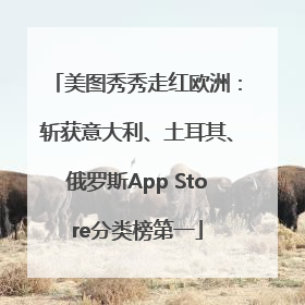 美图秀秀走红欧洲：斩获意大利、土耳其、俄罗斯App Store分类榜第一