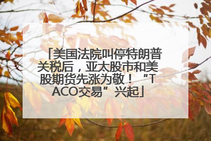 美国法院叫停特朗普关税后，亚太股市和美股期货先涨为敬！“TACO交易”兴起