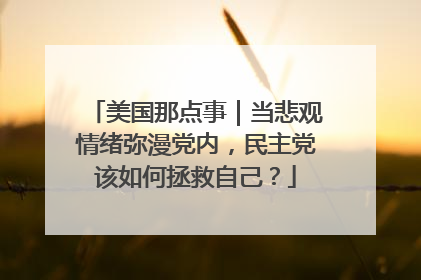 美国那点事｜当悲观情绪弥漫党内，民主党该如何拯救自己？
