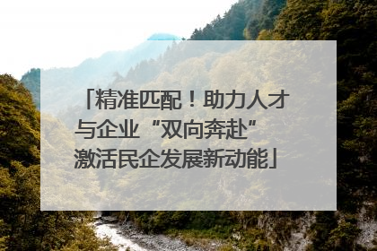 精准匹配！助力人才与企业“双向奔赴” 激活民企发展新动能
