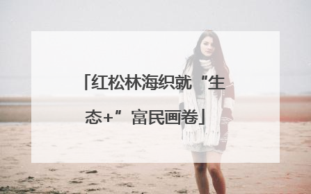 红松林海织就“生态+”富民画卷
