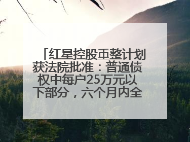 红星控股重整计划获法院批准：普通债权中每户25万元以下部分，六个月内全额现金清偿
