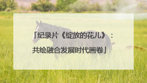 纪录片《绽放的花儿》：共绘融合发展时代画卷