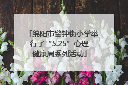 绵阳市警钟街小学举行了“5.25”心理健康周系列活动