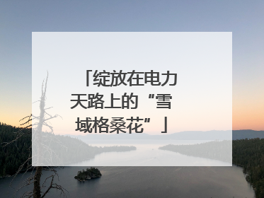 绽放在电力天路上的“雪域格桑花”