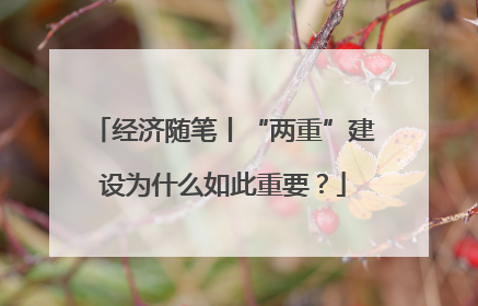 经济随笔丨“两重”建设为什么如此重要？