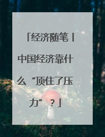 经济随笔丨中国经济靠什么“顶住了压力”？