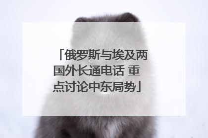 俄罗斯与埃及两国外长通电话 重点讨论中东局势