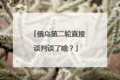 俄乌第二轮直接谈判谈了啥？