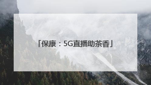 保康：5G直播助茶香