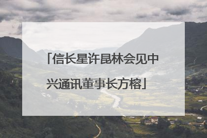 信长星许昆林会见中兴通讯董事长方榕
