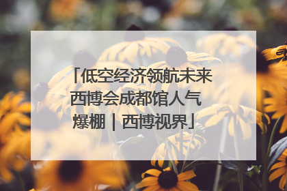 低空经济领航未来 西博会成都馆人气爆棚｜西博视界
