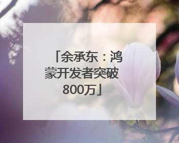 余承东：鸿蒙开发者突破800万