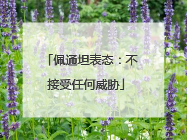 佩通坦表态：不接受任何威胁