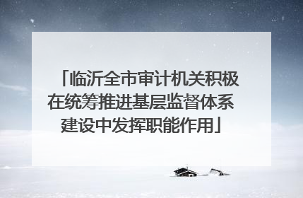 临沂全市审计机关积极在统筹推进基层监督体系建设中发挥职能作用