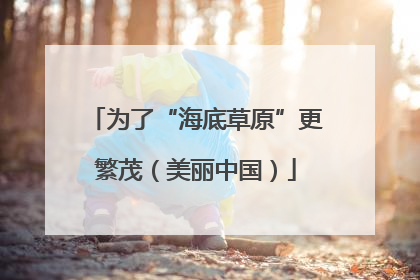 为了“海底草原”更繁茂（美丽中国）