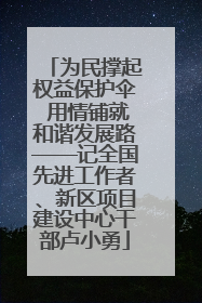 为民撑起权益保护伞 用情铺就和谐发展路——记全国先进工作者、新区项目建设中心干部卢小勇