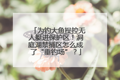 为钓大鱼操控无人艇进保护区！洞庭湖禁捕区怎么成了“垂钓场”？