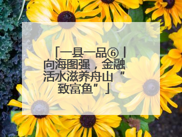 一县一品⑥丨向海图强，金融活水滋养舟山“致富鱼”