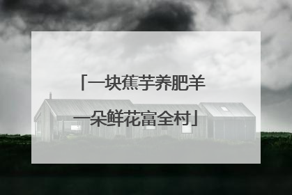 一块蕉芋养肥羊 一朵鲜花富全村