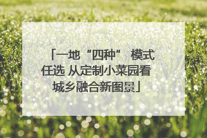 一地“四种” 模式任选 从定制小菜园看城乡融合新图景
