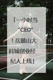 一小时当“CEO”！岳麓山大科城创业经纪人上线