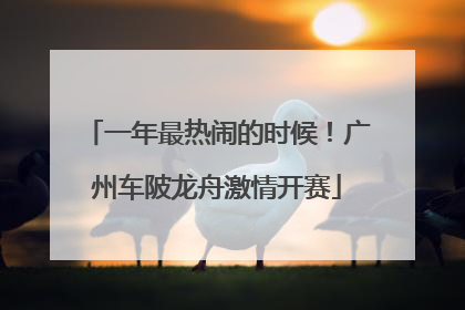 一年最热闹的时候！广州车陂龙舟激情开赛