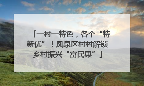 一村一特色，各个“特新优”！凤泉区村村解锁乡村振兴“富民果”