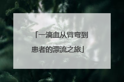一滴血从臂弯到患者的漂流之旅