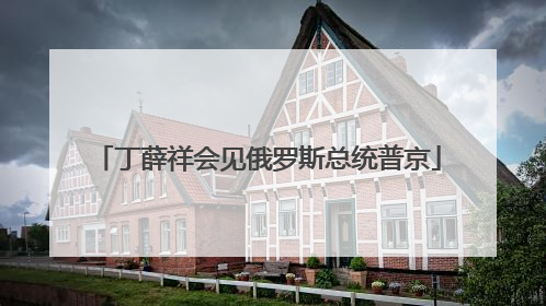 丁薛祥会见俄罗斯总统普京