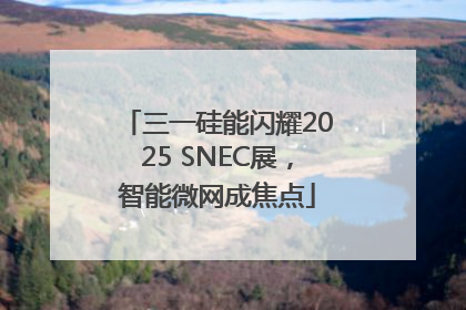 三一硅能闪耀2025 SNEC展，智能微网成焦点