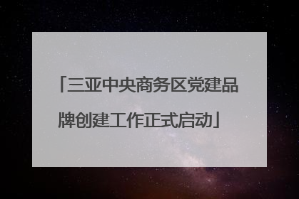 三亚中央商务区党建品牌创建工作正式启动