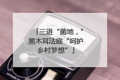 三进“菌地，”黑木耳法庭“呵护乡村梦想”